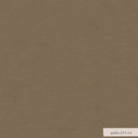 Patte resmi
